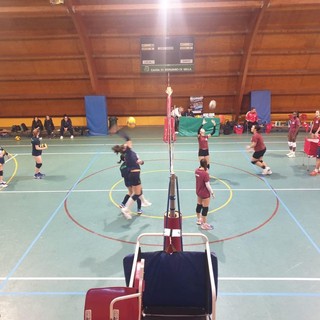 Zumaglia, in palestra il Bear Wool Volley - Foto Comune di Zumaglia Zumaglia, in palestra il Bear Wool Volley - Foto Comune di Zumaglia
