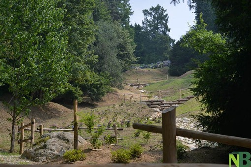 Ex trattoria della Burcina verso il rilancio: due offerte per la concessione