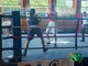 Boxe, 10 incontri oggi alla Rivetti per ricordare Alessandro Messina -Foto Alessandro Bozzonetti per newsbiella.it