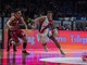 bortolani basket bortolani basket