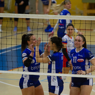 teamvolley