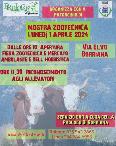 A Borriana torna la Mostra Zootecnica - Foto pagina FB  Comune di Borriana