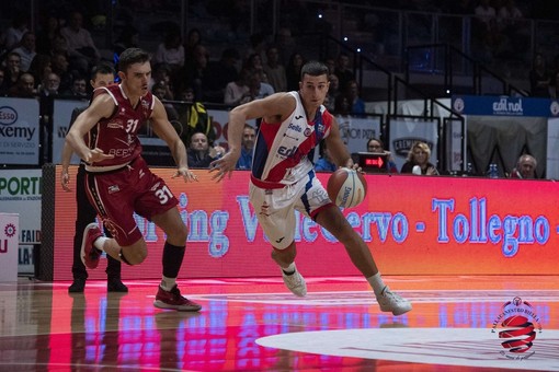 bortolani basket bortolani basket