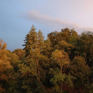 Tra l'ora blu e il temporale, gli scatti del cielo di Casapinta - Foto Claudio Nicola