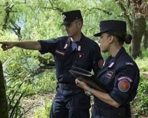 Casapinta: Bruciano sterpaglie nonostante il divieto, sanzionati - Foto di repertorio