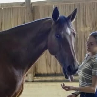 L'incidente mortale di Carola Dettoma lascia sgomenti. Si attende di sapere se la magistratura disporrà l'autopsia