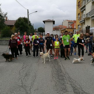 Foto Mauro Benedetti