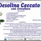 Desolina Ceccato, ved. Crivellaro Desolina Ceccato, ved. Crivellaro