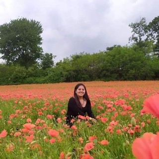 Pollone: in Burcina un mese di iniziative dedicate all'arte.