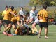 Biella Rugby, i risultati del fine settimana di cadetta, under 18, under 16, under 14 , foto Alessandro Lanza Biella Rugby, i risultati del fine settimana di cadetta, under 18, under 16, under 14 , foto Alessandro Lanza