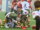 Rugby: Paolo Cerruti segna la sua prima meta in Sudafrica Rugby: Paolo Cerruti segna la sua prima meta in Sudafrica