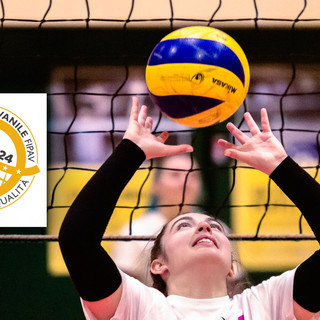 virtus biella virtus biella