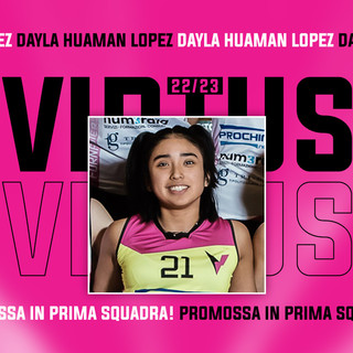 virtus biella