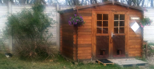 La colonia felina protetta di Masserano