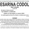 Cesarina Codolo, ved. Amato