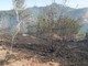 Domato l'incendio di Curino, fiamme hanno divorato tre ettari di terreno
