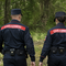 Incendi boschivi e tutela delle foreste, il Piemonte rinnova la convenzione con i Carabinieri Forestali - Immagine generata tramite ia Incendi boschivi e tutela delle foreste, il Piemonte rinnova la convenzione con i Carabinieri Forestali - Immagine generata tramite ia