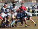 Biella Rugby trionfa su Rugby Lecco: i dettagli della partita - Foto di Alessandra Lanza.