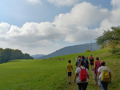 camminata camandona camminata camandona