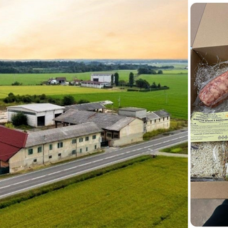 Nasce una rete d’impresa agricola nella pianura biellese