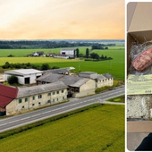 Nasce una rete d’impresa agricola nella pianura biellese