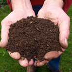 Sala punta alla riduzione della produzione di rifiuti domestici: "Più Compost, Meno Tasse: Sconto del 10% sulla Bolletta"
