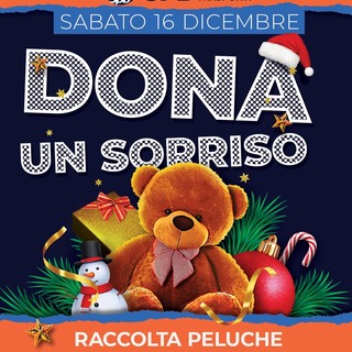 scuola pallavolo biellese scuola pallavolo biellese