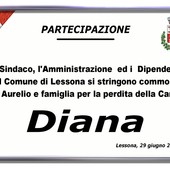 Diana - Partecipazione