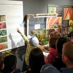 A Biella torna "Selvatica, arte e natura in festival" A Biella torna "Selvatica, arte e natura in festival"