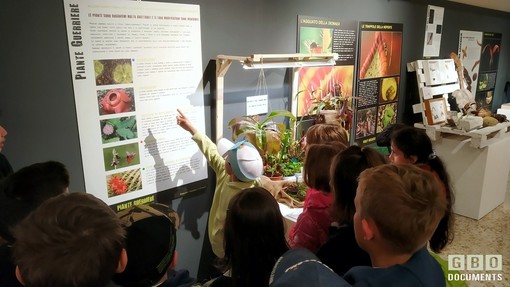 A Biella torna "Selvatica, arte e natura in festival" A Biella torna "Selvatica, arte e natura in festival"