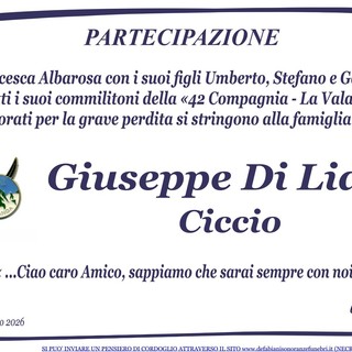 Giuseppe Di Liddo - Partecipazione