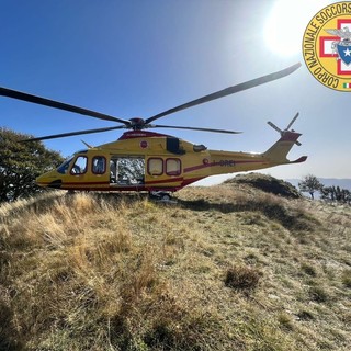 cercatori funghi cercatori funghi