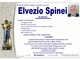 Elvezio Spinei