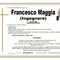 Francesco Maggia (Ingegnere)