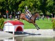 Da Candelo ai Mondiali di equitazione: Francesco Aondio Bertero e il sogno delle Olimpiadi