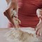 Farine per pinsa e pizza: come scegliere quella giusta per la propria attività Farine per pinsa e pizza: come scegliere quella giusta per la propria attività