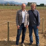 Gaglianico: terminate le potature a seguito delle verifiche fito-statiche sulle piante ad alto fusto