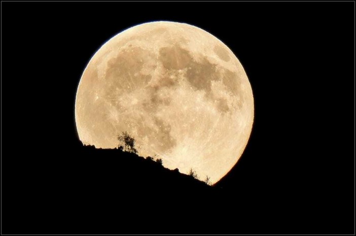 La Luna del Raccolto sorge in Valle Cervo - Foto di Paolo Rosazza Pela La Luna del Raccolto sorge in Valle Cervo - Foto di Paolo Rosazza Pela