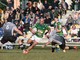 biella rugby biella rugby
