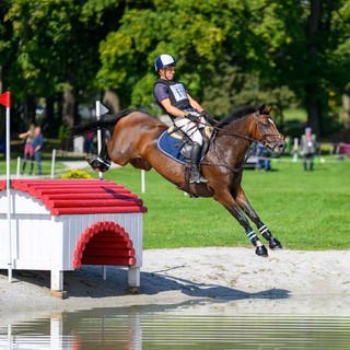 Da Candelo ai Mondiali di equitazione: Francesco Aondio Bertero e il sogno delle Olimpiadi