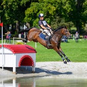 Da Candelo ai Mondiali di equitazione: Francesco Aondio Bertero e il sogno delle Olimpiadi