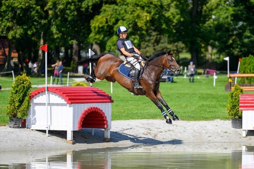 Da Candelo ai Mondiali di equitazione: Francesco Aondio Bertero e il sogno delle Olimpiadi Da Candelo ai Mondiali di equitazione: Francesco Aondio Bertero e il sogno delle Olimpiadi