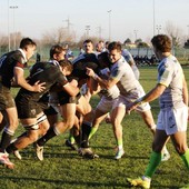 Petrarca Rugby è troppo forte, pesante ko per Biella (foto di F. Cusinato) Petrarca Rugby è troppo forte, pesante ko per Biella (foto di F. Cusinato)