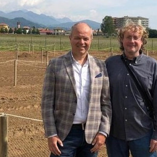 Gaglianico: terminate le potature a seguito delle verifiche fito-statiche sulle piante ad alto fusto