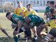 biella rugby