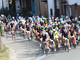 Ciclismo: Trasferta biellese alla 15ª DolciTerre di Novi Ciclismo: Trasferta biellese alla 15ª DolciTerre di Novi