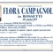 Flora Campagnolo in Rossetti