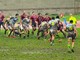 Dura prova per Biella Rugby in Coppa tra pioggia e Parabiago: la vittoria è ancora rimandata (foto di Giorgio Zavallone) Dura prova per Biella Rugby in Coppa tra pioggia e Parabiago: la vittoria è ancora rimandata (foto di Giorgio Zavallone)