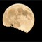 La Luna del Raccolto sorge in Valle Cervo - Foto di Paolo Rosazza Pela