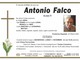 Antonio Falco